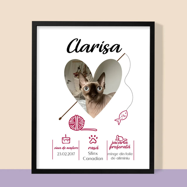 Fotografie Si Semnătură: Mâț Certificat De Naștere  - Imprimare Cu Ramă 30X40 (Verticală)