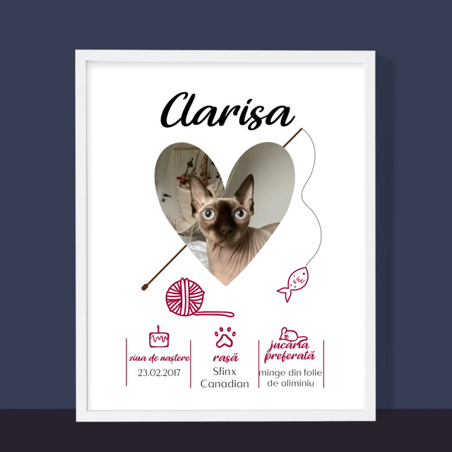 Fotografie Si Semnătură: Mâț Certificat De Naștere  - Imprimare Cu Ramă 30X40 (Verticală)