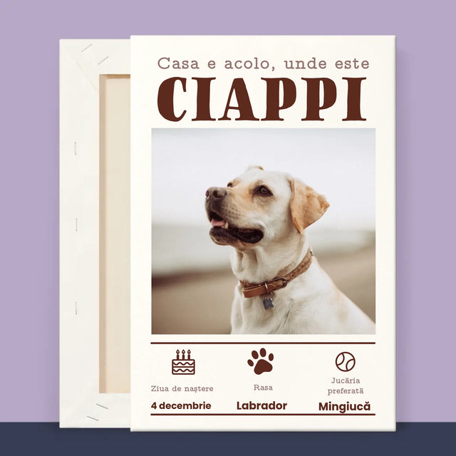 2 - 20x30 40x60 60x90