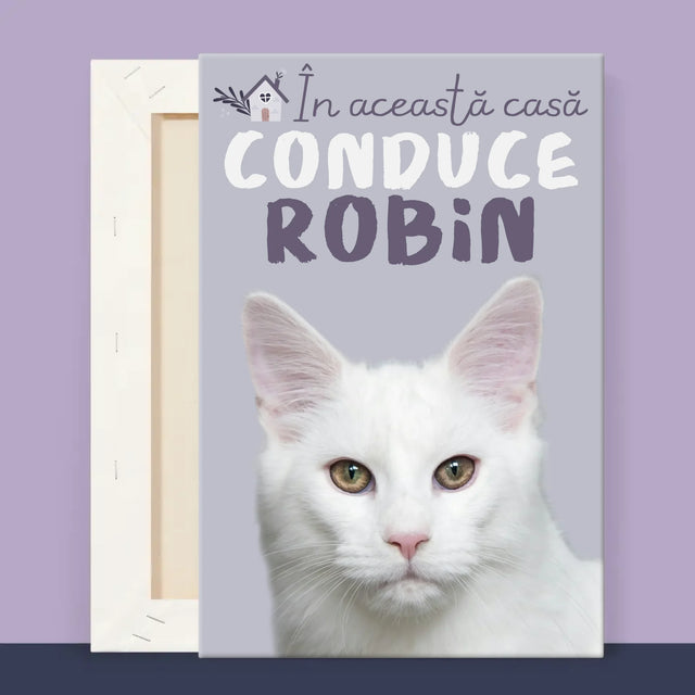 2 - 20x30 40x60 60x90