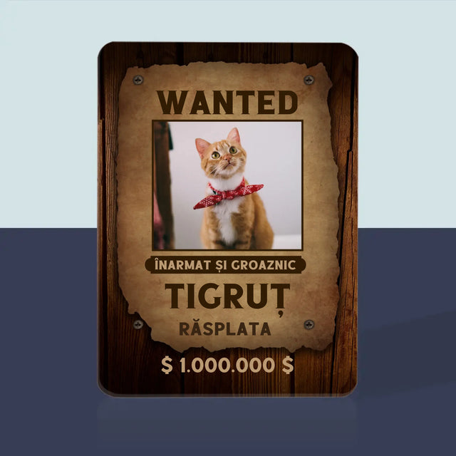 Fotografie Si Semnătură: Căutat- Animal - Cărți De Jok