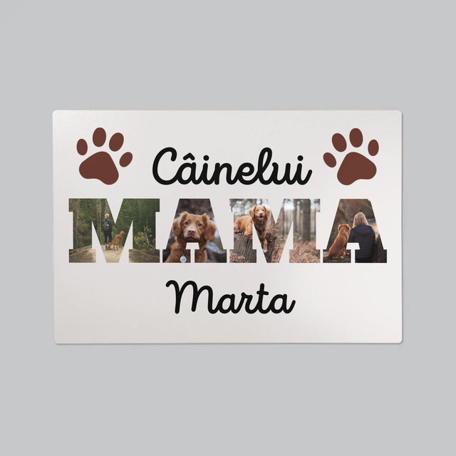 Cuvânt Din Fotografii: Mama Câinelui Din Fotografiile Tale - Mapa De Birou
