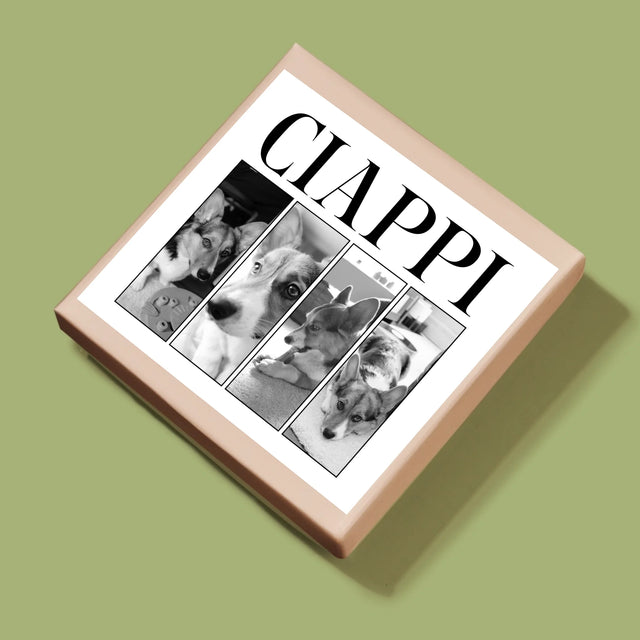 Colaj De Fotografii: Bootleg Clasic Cu Cățeluș - Puzzle